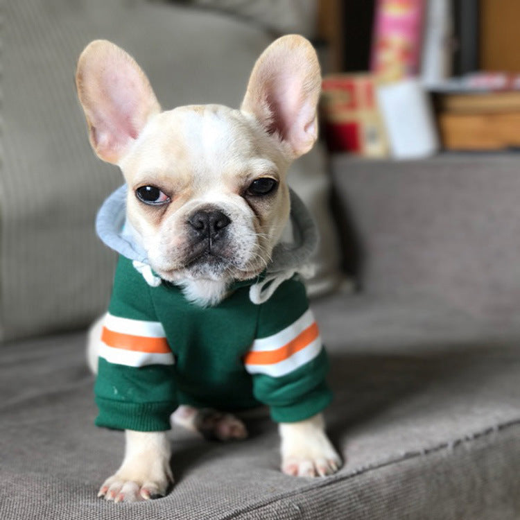 Keep Your Furry Friend Cozy with Our Adorable Pet Sweater