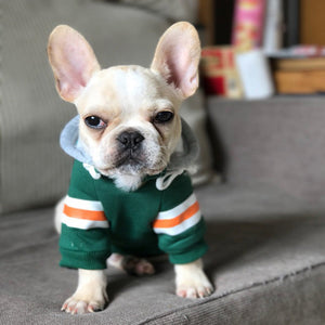 Keep Your Furry Friend Cozy with Our Adorable Pet Sweater