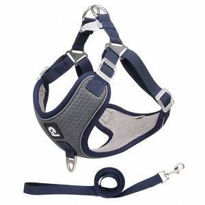 Discover the Comfort and Safety of the Breathable Pet Harness Adjustable Leash