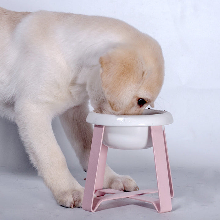 Transform Mealtime with the Pet Creative Antislip Cat Feeding Bowl