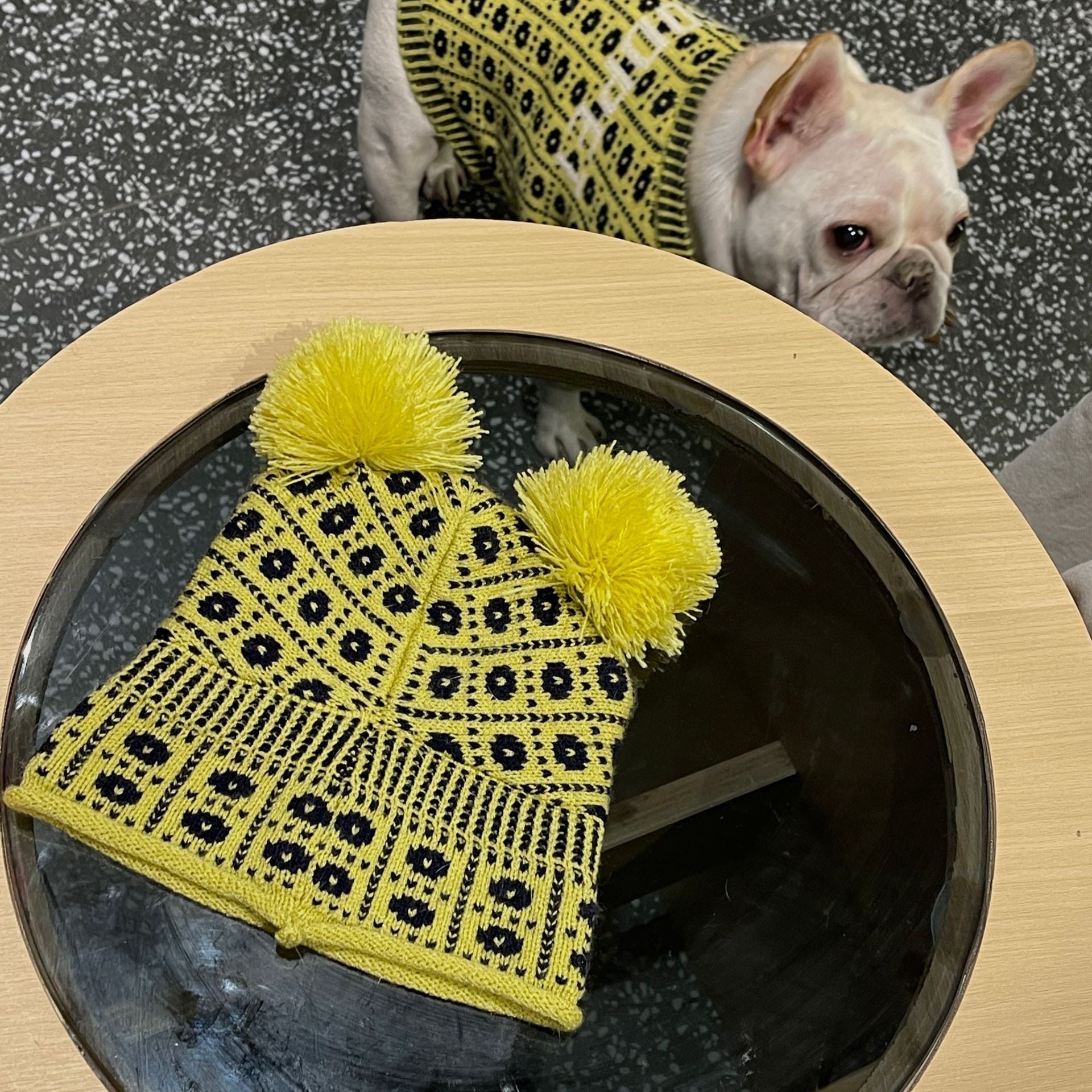 Dog Pet Winter Sweater: Your Pup's Best Winter Companion