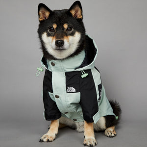 Why Your Dog Deserves the Windproof and Rainproof Large Dog Shell Jacket
