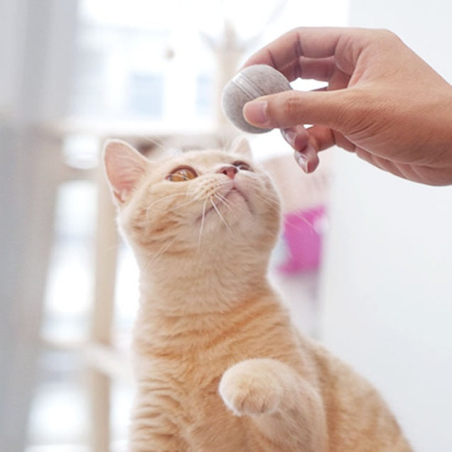 Unleash Your Cat's Playfulness with the Intelligent Tickle Cat Nibble Toy