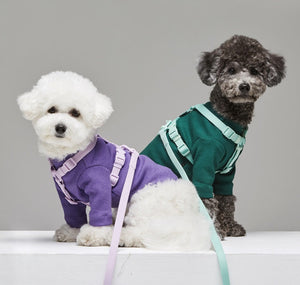 Discover the Pet Leash Macaron Ins Wind