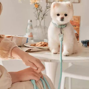 Discover the Perfect Companion for Your Dog: The Leather Hand Holding Leash