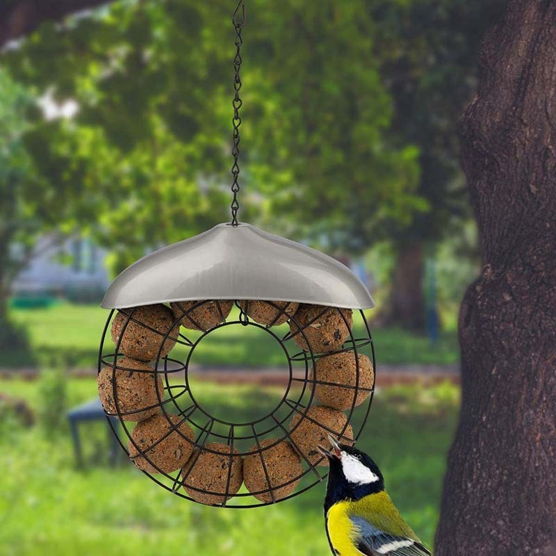 Transform Your Outdoor Feeding Experience with Our Metal Hanging Washable Outdoor Feeder