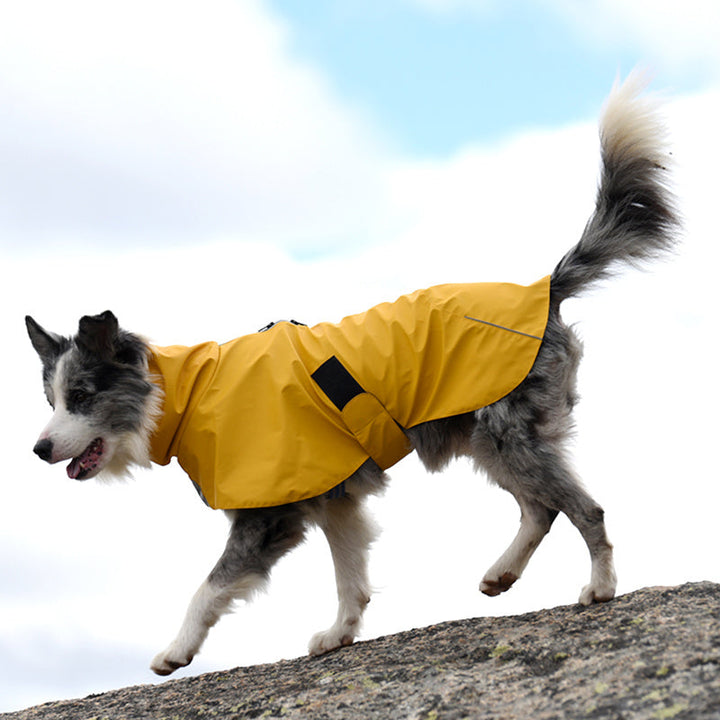 Keep Your Pet Dry and Stylish with the Pet Shell Waterproof Jacket