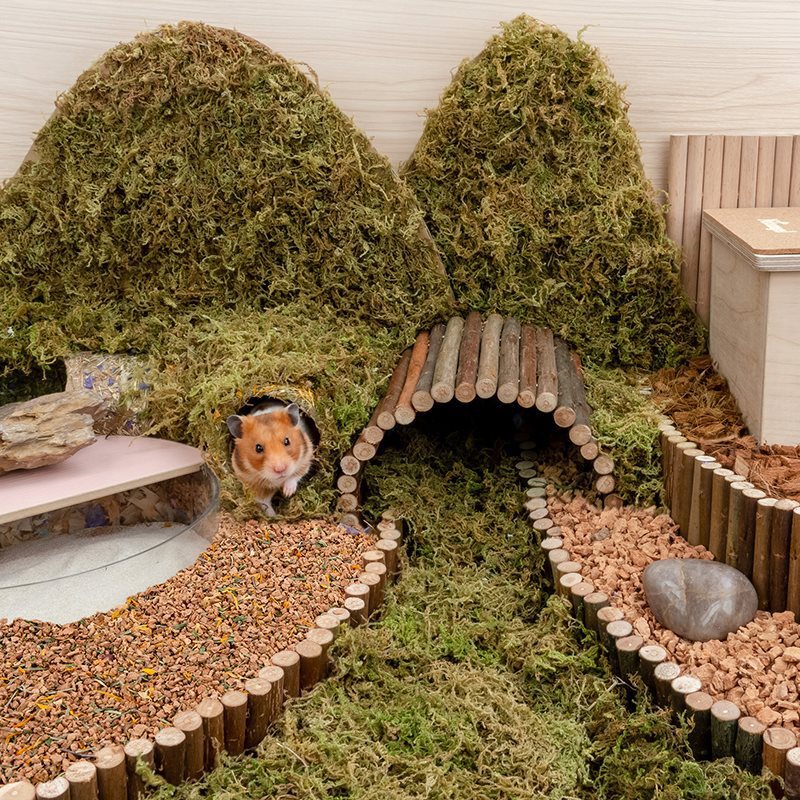 Oak Cork Hamster Digging Cage Landscaping Supplies