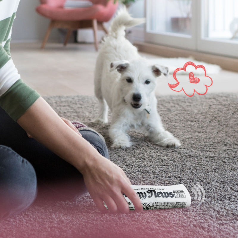 Squeaky Pet Dog Chew Training Toys