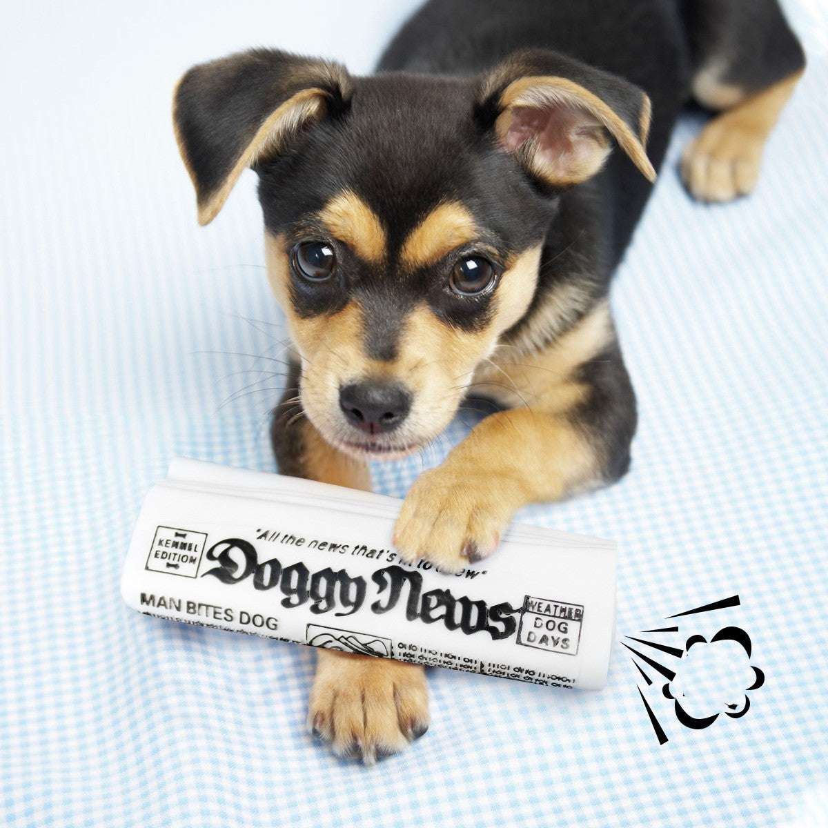 Squeaky Pet Dog Chew Training Toys