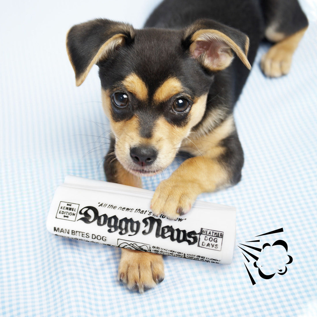 Squeaky Pet Dog Chew Training Toys