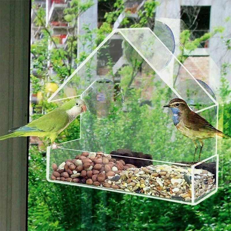 Acrylic Bird Food Bowl