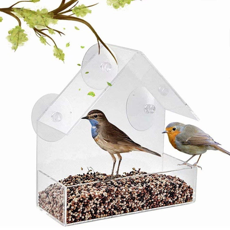 Acrylic Bird Food Bowl