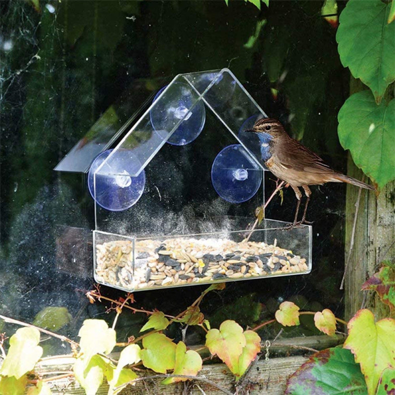 Acrylic Bird Food Bowl