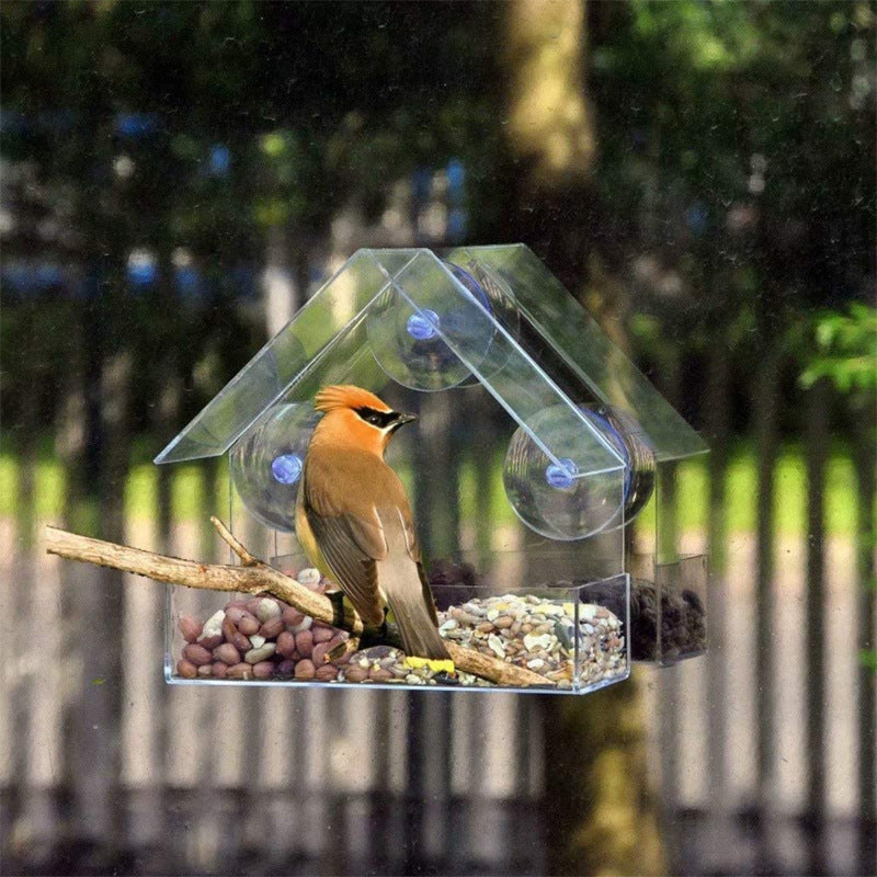 Acrylic Bird Food Bowl