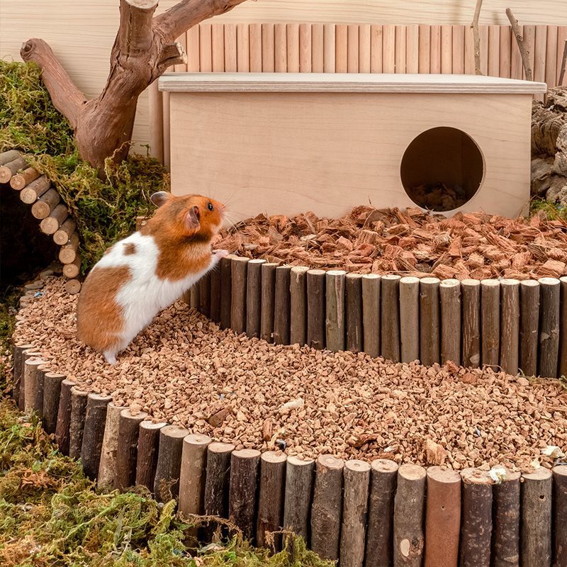 Oak Cork Hamster Digging Cage Landscaping Supplies