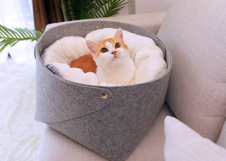 comfortable soft pet bed