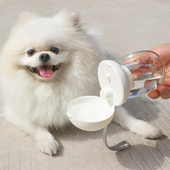 Portable Pet Outdoor Water Bottle