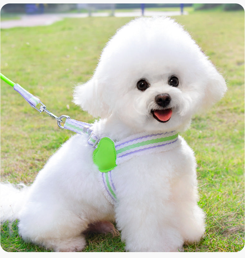 Dog Summer Breathable Pet Leash