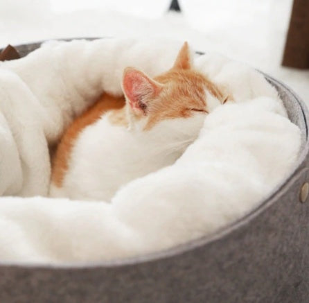 comfortable soft pet bed
