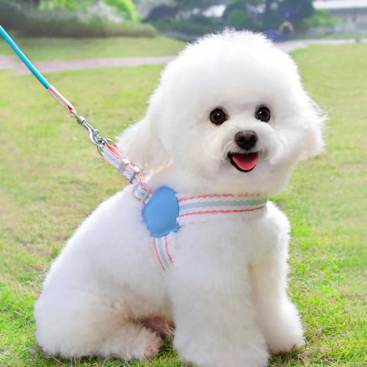 Dog Summer Breathable Pet Leash