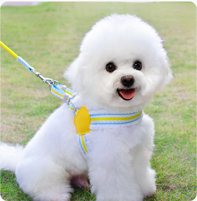 Dog Summer Breathable Pet Leash