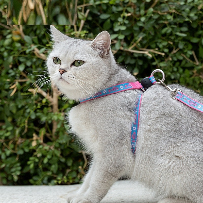 Pet Bell Chest Strap Teddy Leash