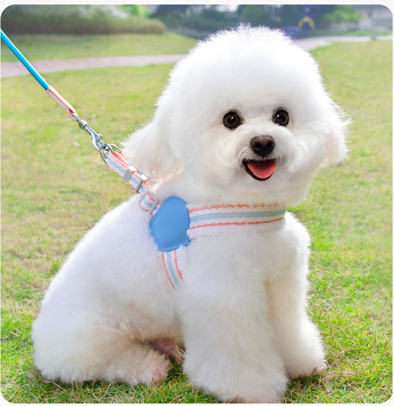 Dog Summer Breathable Pet Leash