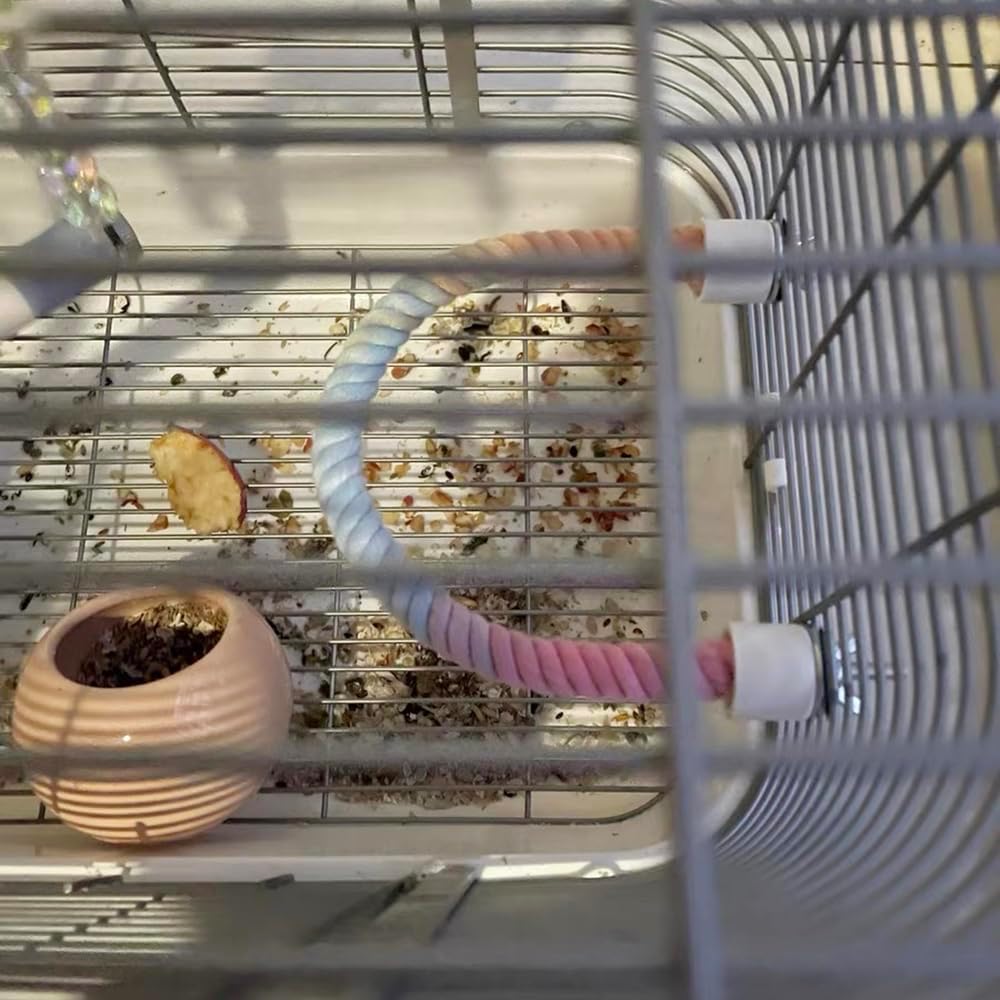 Gradient Colorful Rope Perch Stand For Birds