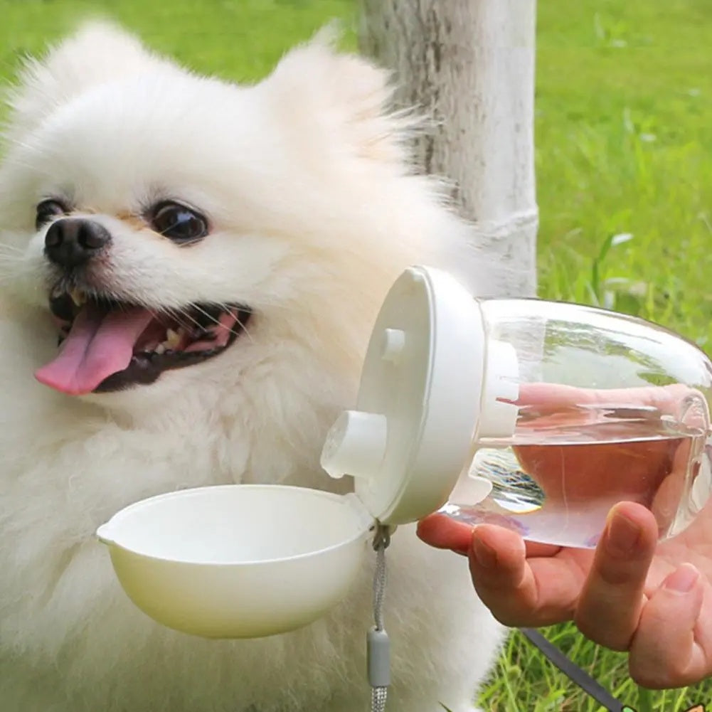 Portable Pet Outdoor Water Bottle