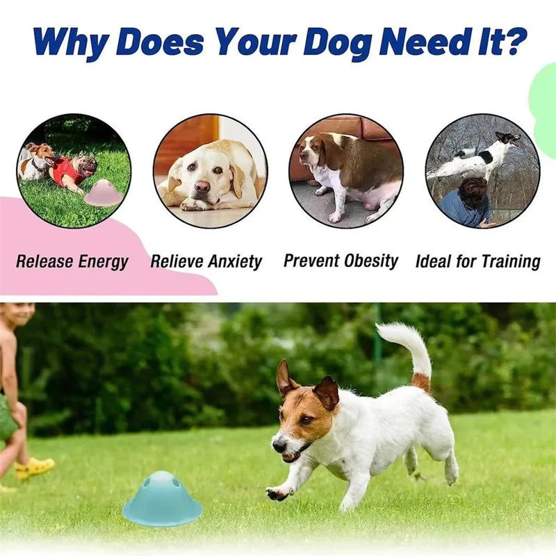 Pet Interactive Chew Toys