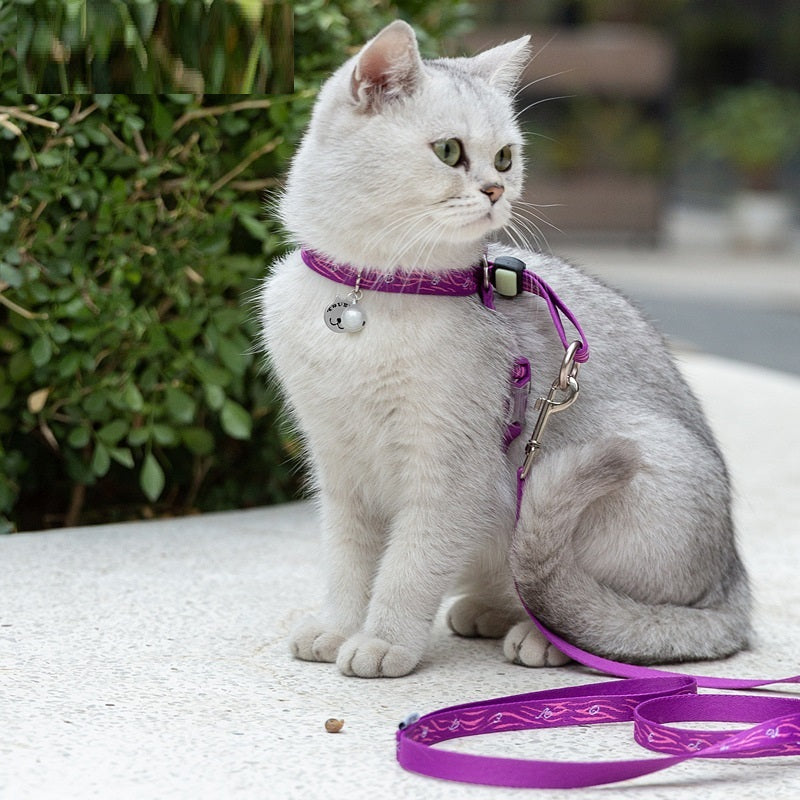 Pet Bell Chest Strap Teddy Leash